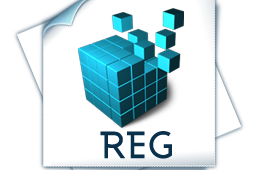 Pulire registro