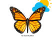 The Butterfly Effect