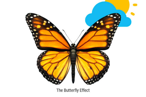 The Butterfly Effect